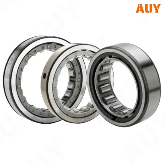 OEM NCF2240 ECJB Corrosion-Resistant Cylindrical Bearing
