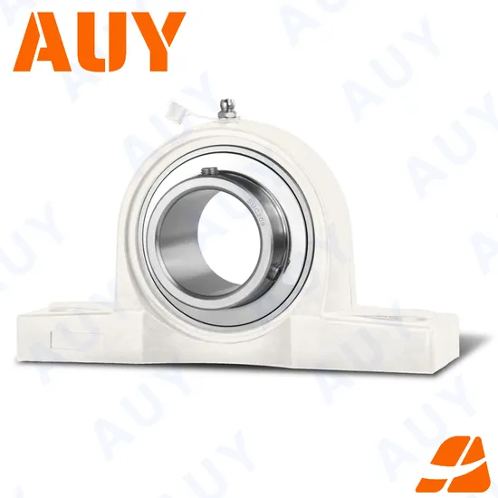 Auy-Anti-Corrosion-Factory-Outlet-P2btc-30m-Cpss-Dfh-30m-Cpss-Dfh-Sy-50-FM-Sy-60-Lf-Housing-Bearing-Pillow-Block-Bearing