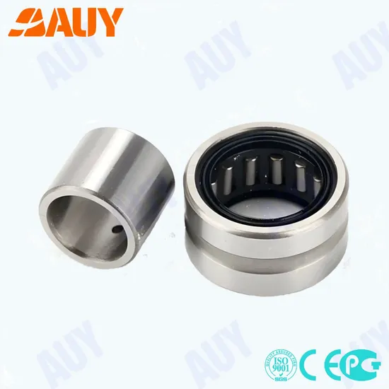 Auy NK30/30 TN Needle Roller Bearing Corrosion-Resistant