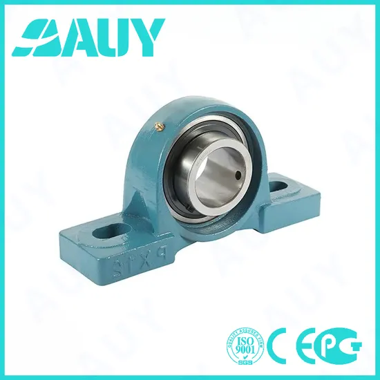Auy-Customized-High-Precision-P2bl-111-TF-Ah-111-TF-Ah-P2b-014-RM-014-RM-P2b-55m-TF-55m-TF-Short-Base-Pillow-Block-Housings-Pillow-Block-Bearing