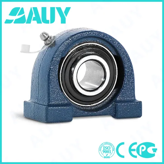 Auy-Customized-High-Quality-P2bc-50m-Cpss-Dfh-50m-Cpss-Dfh-Sy-25-TF-Sy-25-Tr-Cast-Iron-Housings-Pillow-Block-Bearing