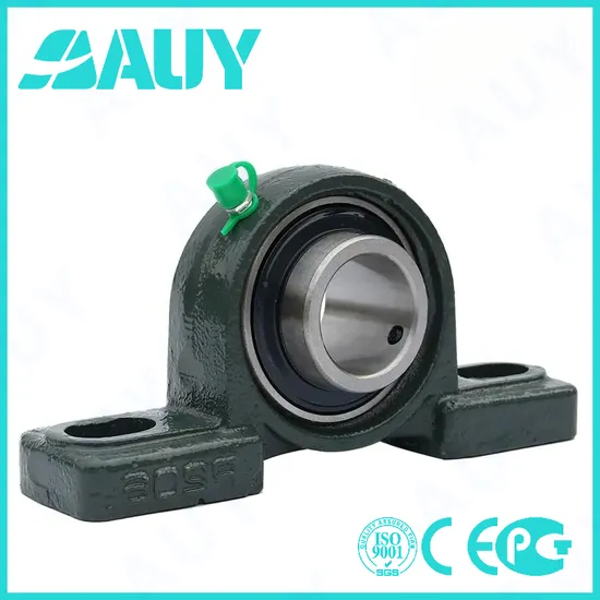Auy-Customized-High-Quality-P2bc-50m-Cpss-Dfh-50m-Cpss-Dfh-Sy-25-TF-Sy-25-Tr-Cast-Iron-Housings-Pillow-Block-Bearing