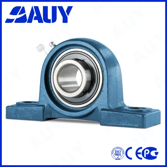 Auy-Durable-Factory-Price-P2bc-104-Cpss-Dfh-104-Cpss-Dfh-Ucpa-209-Sy-55-Lf-Plastic-Housings-Pillow-Block-Bearing