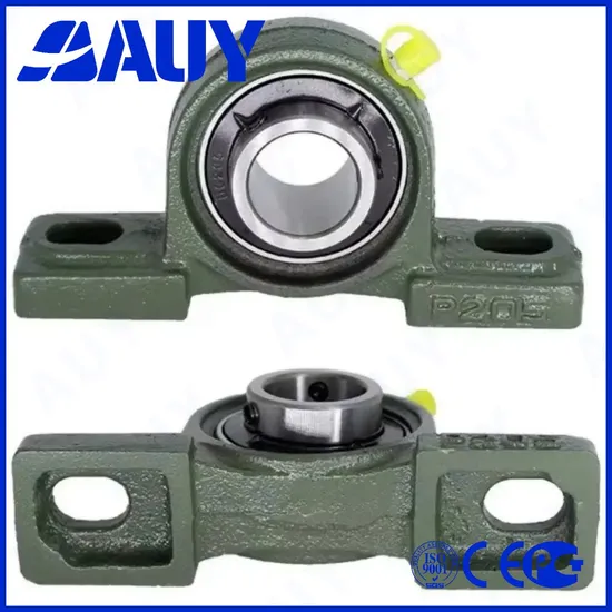 Auy-Durable-Factory-Price-P2bc-104-Cpss-Dfh-104-Cpss-Dfh-Ucpa-209-Sy-55-Lf-Plastic-Housings-Pillow-Block-Bearing