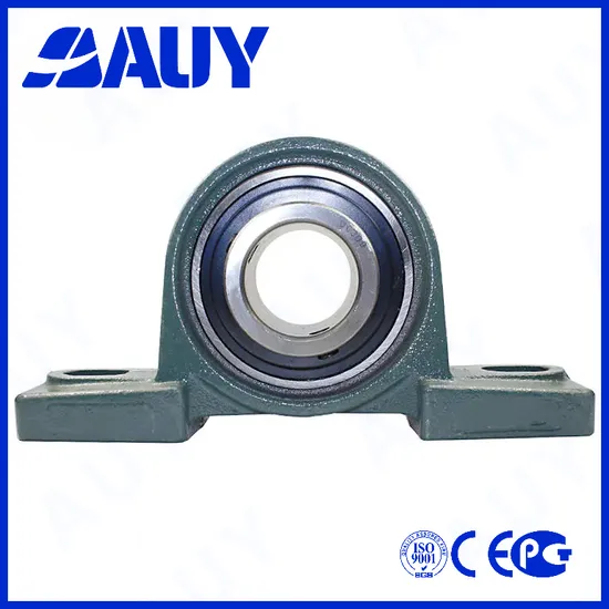 Auy-Existing-Goods-High-Satisfaction-P2btss-35m-Cpss-Dfh-35m-Cpss-Dfh-P-1-TF-P-1-FM-UCP208-Pillow-Block-Bearing