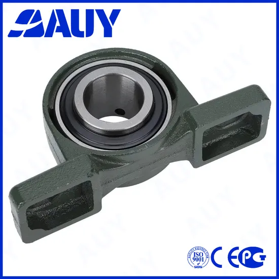Auy P2BTSS 35M-CPSS-DFH 35M CPSS DFH High Load Pillow Block Bearing