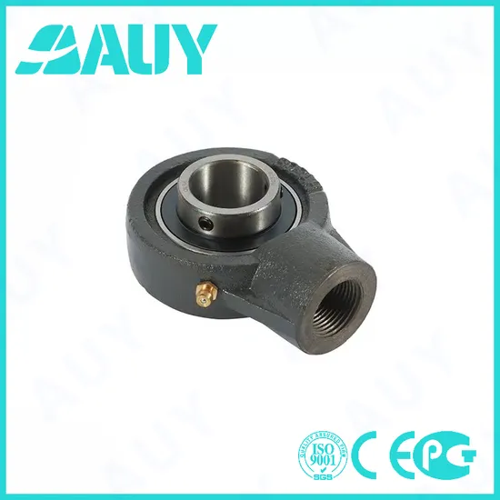 Auy-Factory-Price-Anti-Corrosion-P2bm-100-TF-Ah-100-TF-Ah-P2b-102-TF-102-TF-P2b-102-RM-102-RM-Pillow-Block-Ball-Bearing-Unit-Pillow-Block-Bearing
