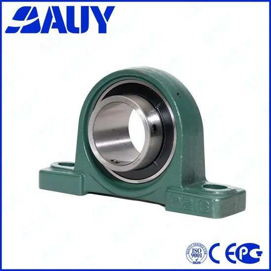 Auy Factory P2BTC106-TPZM High Precision Pillow Block Bearings for Industrial Use