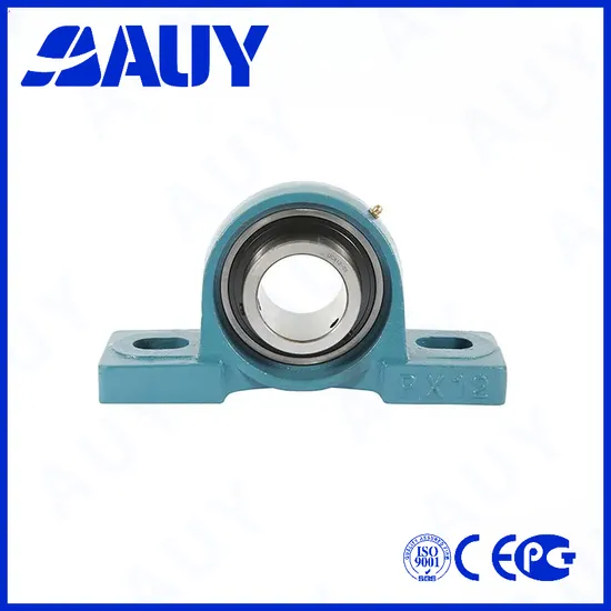 Auy-Farming-Machinery-Factory-Outlet-P2btss-30m-Cpss-Dfh-30m-Cpss-Dfh-UCP-207-UCP-314-Manufacturer-Bearing-Pillow-Block-Bearing