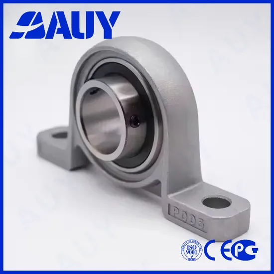 Auy-Great-Quality-High-Speed-P2bc-25m-Cpss-Dfh-25m-Cpss-Dfh-Sy-30-FM-Sy-40-TF-Y-Bearing-Pillow-Block-Bearing