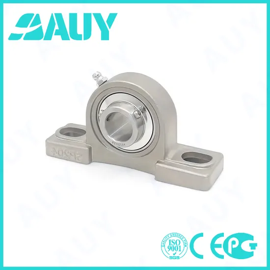 Auy P2bc 20m-Cpss-Dfh High-Precision Pillow Block Bearing