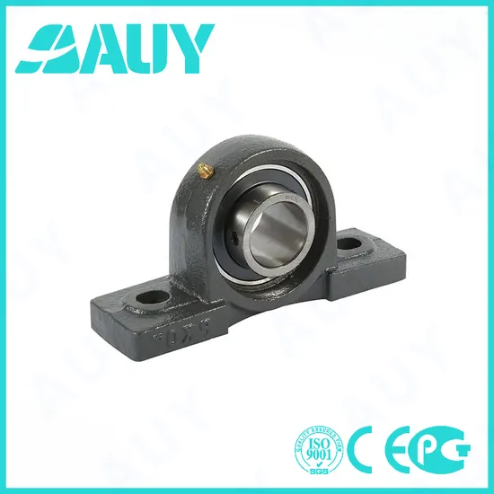 Auy-High-Precision-Casting-Machinery-P2bss-104s-Cpss-Dfh-104s-Cpss-Dfh-P-40-TF-UCP-313-Pillow-Block-Unit-Pillow-Block-Bearing