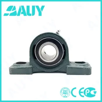 Auy P2bss 104s-Cpss-Dfh High-Precision Pillow Block Bearing UCP 313