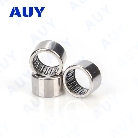 Auy-High-Precision-Customized-Nk-30-20-Tn-Nk-18-20-Nk-40-30-Needle-Roller-Bearing