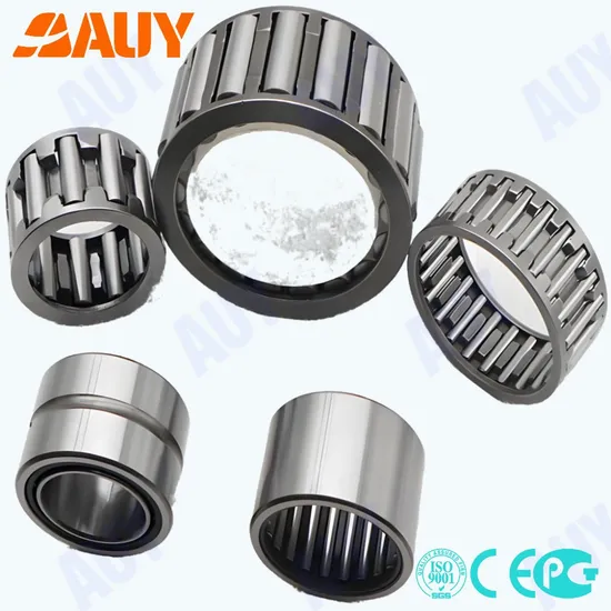Auy NK30/20 TN Needle Roller Bearing High Precision 30x42x20mm