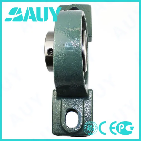 Auy-High-Quality-Customized-P2bl-008-TF-Ah-008-TF-Ah-P2bt-111-TF-111-TF-P2bt-111-FM-111-FM-Short-Base-Pillow-Block-Housings-Pillow-Block-Bearing