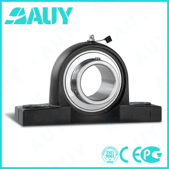 Auy-High-Quality-Durable-P2bss-40m-Tpss-40m-Tpss-P2b-100-Lf-100-Lf-P2b-211-TF-211-TF-Pillow-Block-Housings-Pillow-Block-Bearing