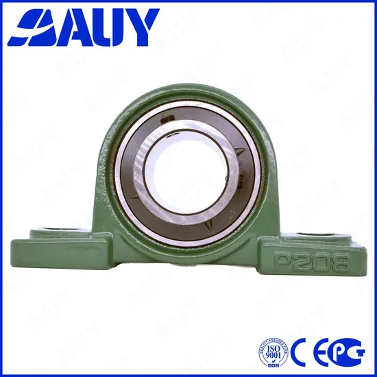 Auy-High-Quality-Industry-Leading-P2bss-104-Cpss-Dfh-104-Cpss-Dfh-UCP-215-P-25-FM-Pillow-Block-Ball-Bearing-Unit-Pillow-Block-Bearing