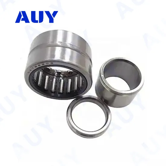 Auy RNA4910 RS Needle Roller Bearing High Load Capacity ODM