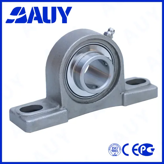 Auy-High-Speed-Hot-Sale-P2btss-107-Cpss-Dfh-107-Cpss-Dfh-Ucpx05-Ucpx12-Housing-Units-Set-Pillow-Block-Bearing