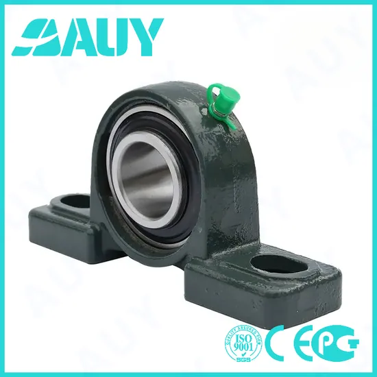 Auy-High-Speed-Manufacturing-Machinery-P2bc-20m-Tpss-20m-Tpss-P2bm-112-TF-112-TF-P2bt-105-TF-105-TF-Ball-Bearing-Units-Pillow-Block-Bearing