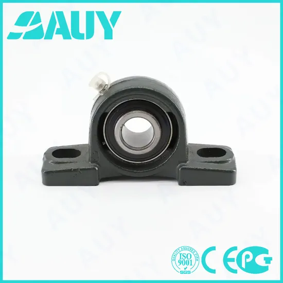 Auy P2BM 115-TF-AH UCP207-23 High Speed Cast Iron Pillow Block Bearing