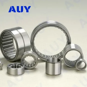 Auy RNA4905 RS NK20/16 NA69/32 Needle Roller Bearing High-Strength