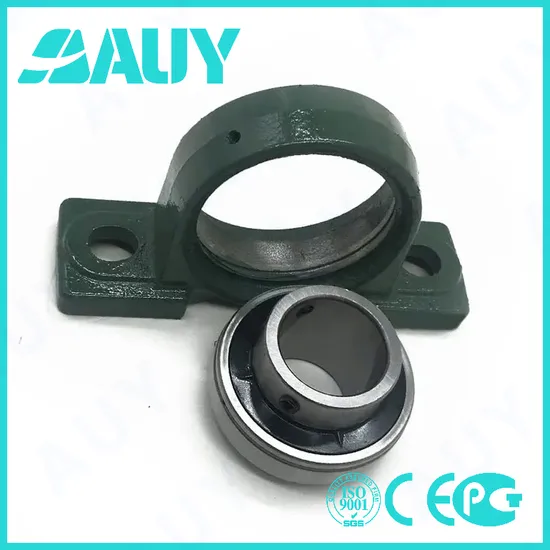 Auy-High-Strength-High-Satisfaction-P2bss-25m-Tpss-25m-Tpss-P2b-17m-TF-17m-TF-P2b-207-Wf-207-Wf-Y-Bearing-Pillow-Block-Bearing