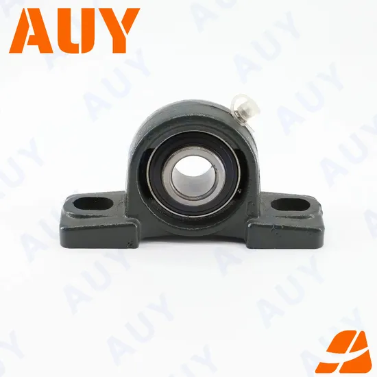 Auy Hot Sale P2BTC 106-CPSS-DFH Pillow Block Bearing