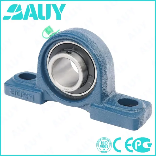 Auy-Industry-Leading-Top-Level-P2bm-107-TF-Ah-107-TF-Ah-P2b-111-TF-111-TF-P2b-107-RM-107-RM-Ball-Bearing-Units-Pillow-Block-Bearing