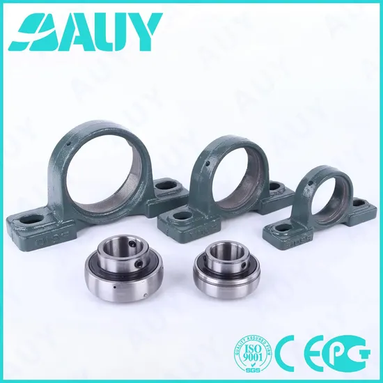 Auy-Industry-Leading-Top-Level-P2bss-103-Tpss-103-Tpss-UCP-206-19-206-19-Syfj-30-TF-Ukp-Pillow-Block-Bearing