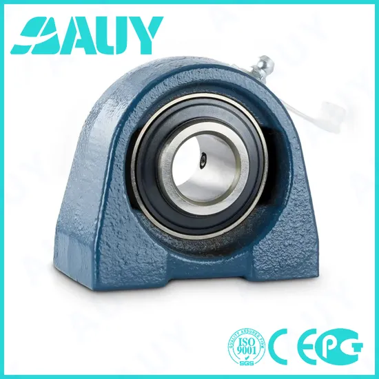 Auy-Inexpensive-High-Quality-P2btss-103-Cpss-Dfh-103-Cpss-Dfh-Ucpx15-Ucpx13-Pillow-Block-Housing-Pillow-Block-Bearing