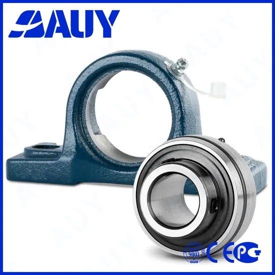 Auy-Manufacturing-Machinery-ODM-P2bl-200-TF-Ah-200-TF-Ah-Sy-2-1-2-TF-P2bt-110-TF-110-TF-Ukp-Pillow-Block-Bearing