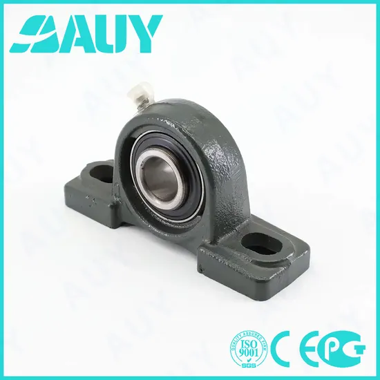 Auy-Mining-Industry-Rust-Prevention-P2btss-40m-Tpss-40m-Tpss-Syk-40-Tr-Sy-1-2-FM-Pillow-Block-Ball-Bearing-Units-Pillow-Block-Bearing