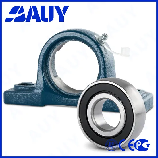 Auy-Mining-Industry-Spot-Supply-P2bl-107-Wf-Ah-107-Wf-Ah-P2bt-107-TF-107-TF-Sy-1-5-8-TF-Pillow-Block-Housings-Pillow-Block-Bearing