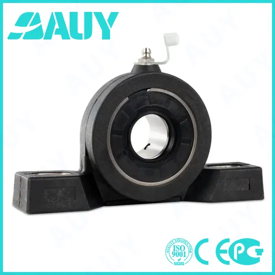 Auy-Mining-Machinery-Anti-Corrosion-P2btc-40m-Tpss-40m-Tpss-UCP-207-22-207-22-Ucpa-208-H-Miniature-Housing-Pillow-Block-Bearing
