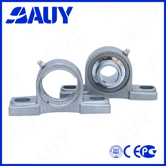 Auy-Mining-Machinery-Anti-Corrosion-P2btc-40m-Tpss-40m-Tpss-UCP-207-22-207-22-Ucpa-208-H-Miniature-Housing-Pillow-Block-Bearing