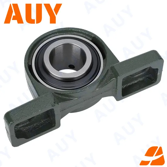 Auy-Mining-Machinery-Mining-Industry-P2btc-100-Cpss-Dfh-100-Cpss-Dfh-Ucpa-206-Sy-55-Wf-Stainless-Housings-Pillow-Block-Bearing