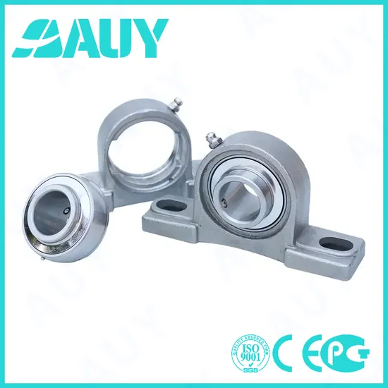 Auy-Mixing-Machinery-Factory-Outlet-P2btc-20m-Tpss-20m-Tpss-Sywk-40-Yta-Sywk-40-Yth-Housing-Bearing-Pillow-Block-Bearing
