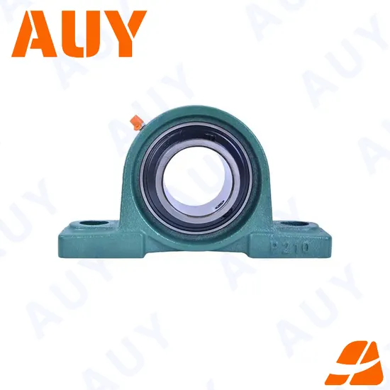Auy-ODM-Anti-Corrosion-P2btc-35m-Tpzm-35m-Tpzm-Syj-100-TF-P2b-203-RM-203-RM-Housing-Unit-Pillow-Block-Bearing