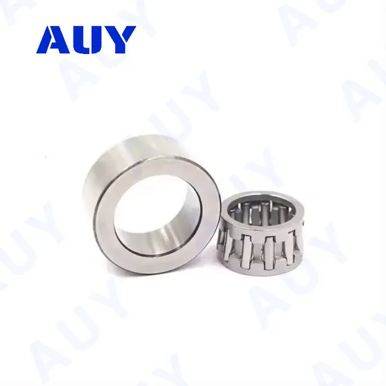 Auy-ODM-Customized-Nk-45-20-Tn-Rna-6910-Nk-80-25-Needle-Roller-Bearing