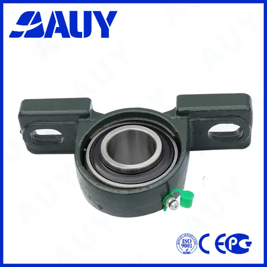 Auy-ODM-Durable-P2b-106-TF-Ah-106-TF-Ah-P2bl-204-TF-204-TF-P2bl-115-Wf-115-Wf-Insert-Bearings-Pillow-Block-Bearing