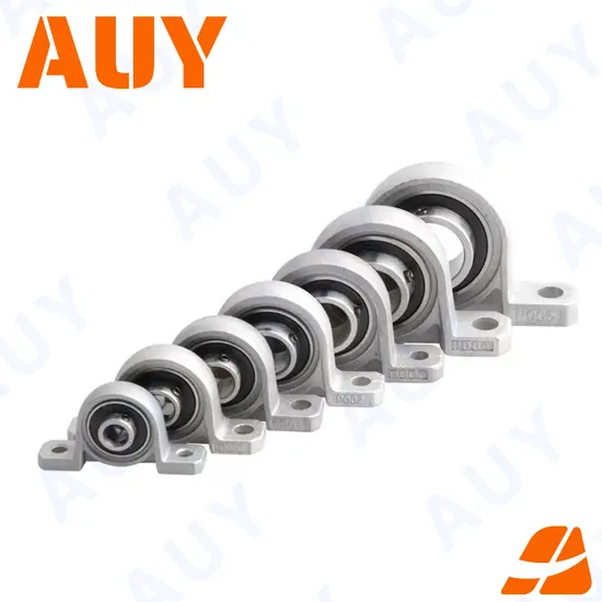 Auy-OEM-Anti-Corrosion-P2bss-20m-Tpss-20m-Tpss-P2b-100-RM-100-RM-P2b-100-TF-100-TF-Stainless-Housings-Pillow-Block-Bearing