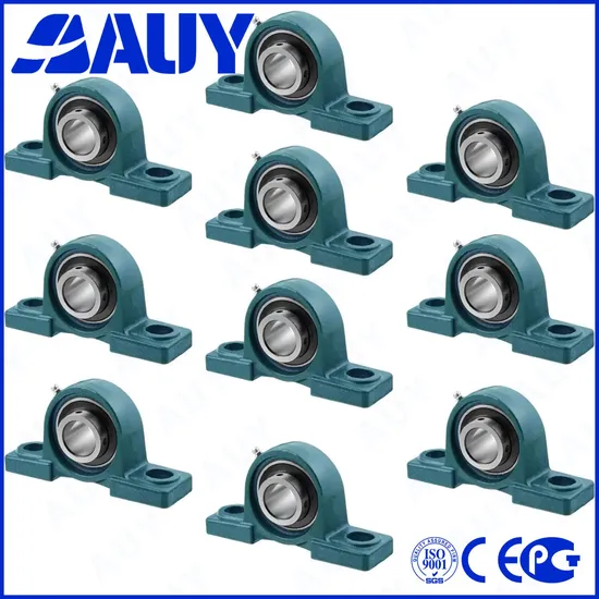 Auy-OEM-Mining-Machinery-P2btc-100-Tpzm-100-Tpzm-P2b-102-FM-102-FM-P2b-112-RM-112-RM-Stainless-Housing-Pillow-Block-Bearing