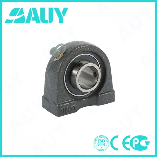 Auy-OEM-New-Technology-P2bm-112-TF-Ah-112-TF-Ah-Syj-55-Kf-UCP-210-H-Cast-Iron-Housings-Pillow-Block-Bearing