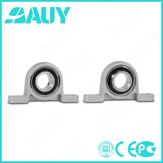 Auy-Rust-Prevention-Factory-Price-P2btc-20m-Tpzm-20m-Tpzm-P2bl-107-Wf-107-Wf-P2bt-108-Wf-108-Wf-Bearing-Housing-Pillow-Block-Bearing