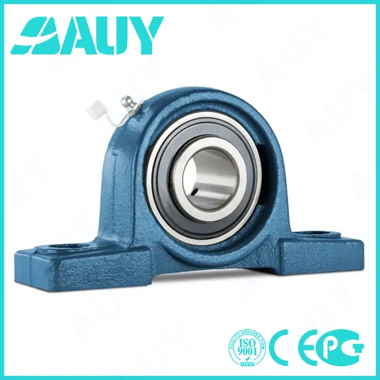 Auy-Rust-Prevention-Factory-Price-P2btc-20m-Tpzm-20m-Tpzm-P2bl-107-Wf-107-Wf-P2bt-108-Wf-108-Wf-Bearing-Housing-Pillow-Block-Bearing