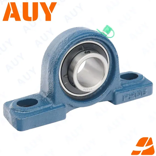 Auy P2BTC 20M-TPZM Pillow Block Bearing with Rust Prevention & Factory Price