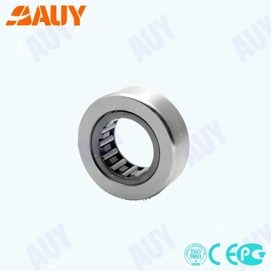 Auy Spot Supply NK29/20 TN High Load Needle Roller Bearing
