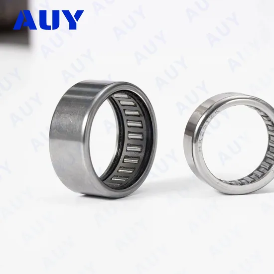 Auy-Spot-Supply-Mixing-Machinery-HK-1216-2RS-Rna-4924-Rna-6903-Needle-Roller-Bearing